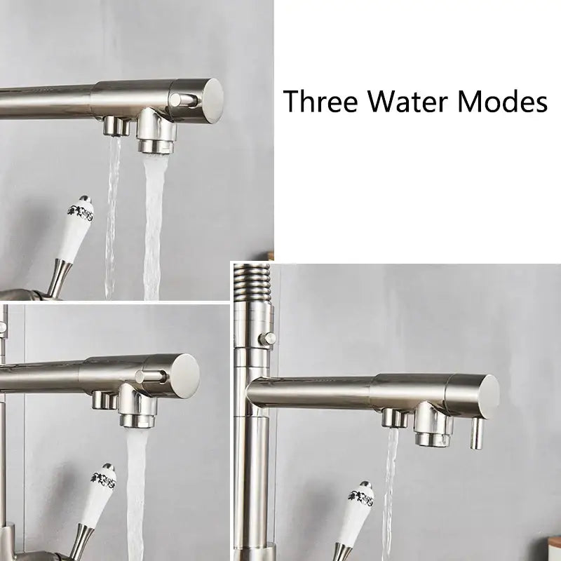 Modern brushed stainless steel kitchen faucet with dual spout pull down and ceramic handle with black floral decorbites dual spout