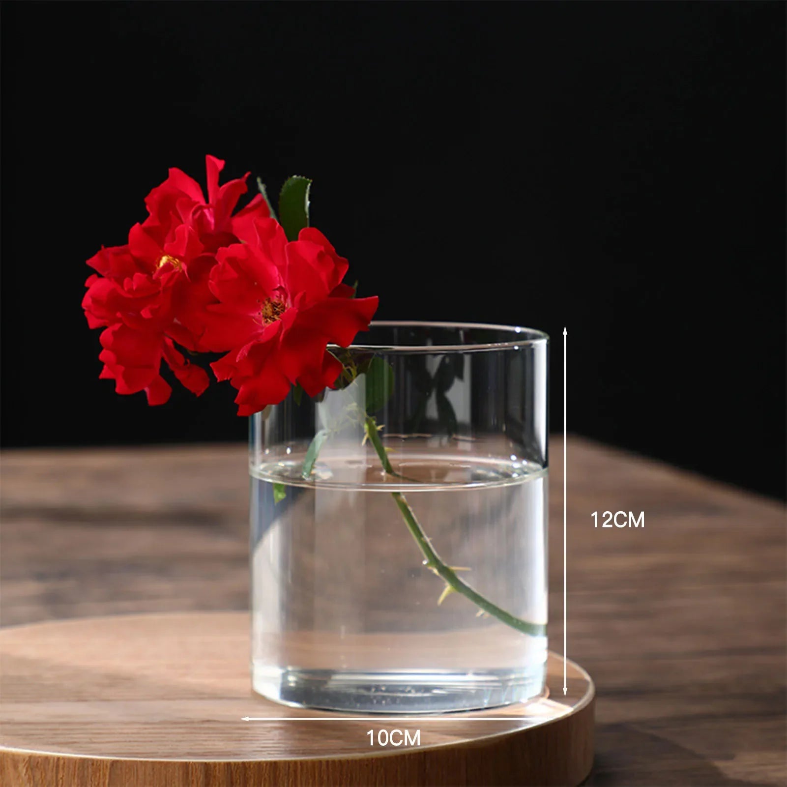Clear cylindrical glass hydroponic vase with 10cm diameter and 12cm height holding vibrant red roses in water for home or office