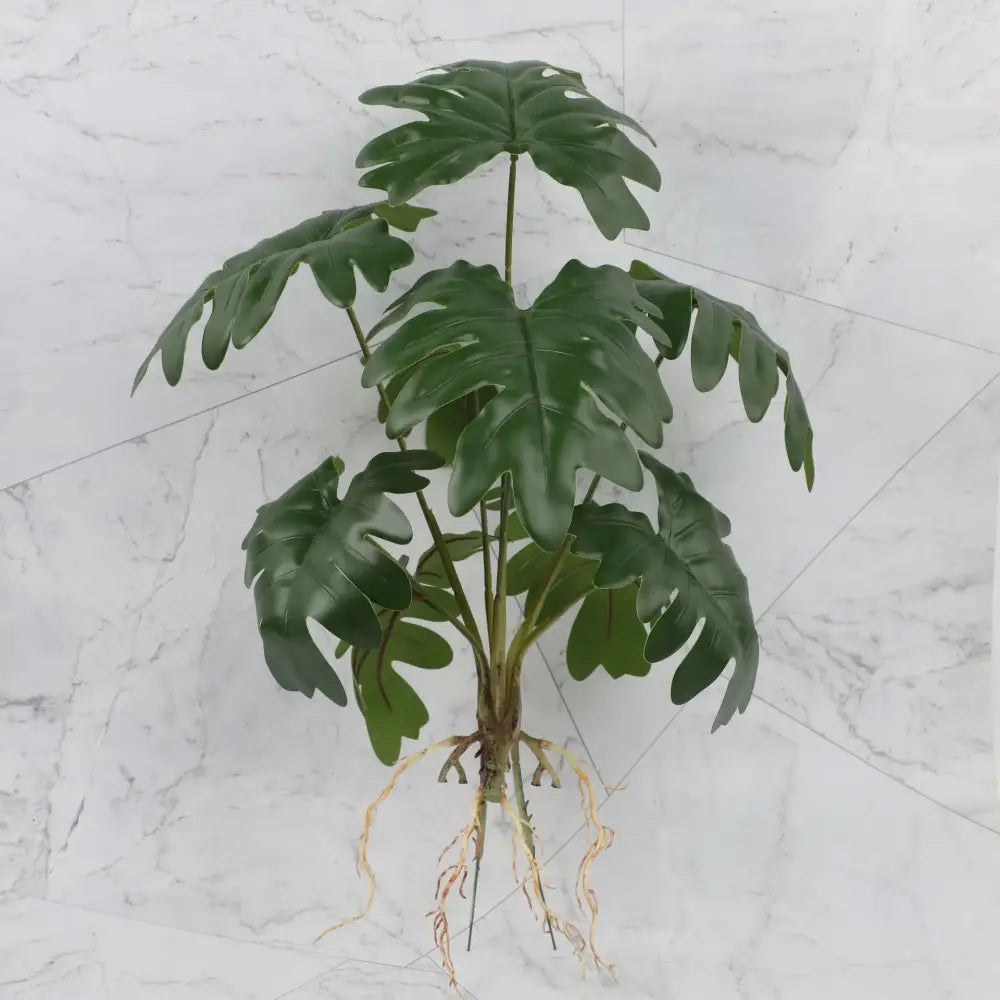 Artificial green monstera plant with glossy lobed leaves and visible roots in tropical plant wall set for living room decor