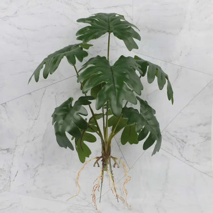 Artificial green monstera plant with glossy lobed leaves and visible roots in tropical plant wall set for living room decor