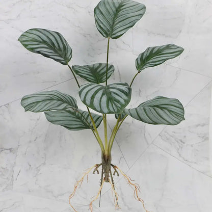 Tropical artificial plant wall set featuring broad silver and green striped leaves for living room decoration