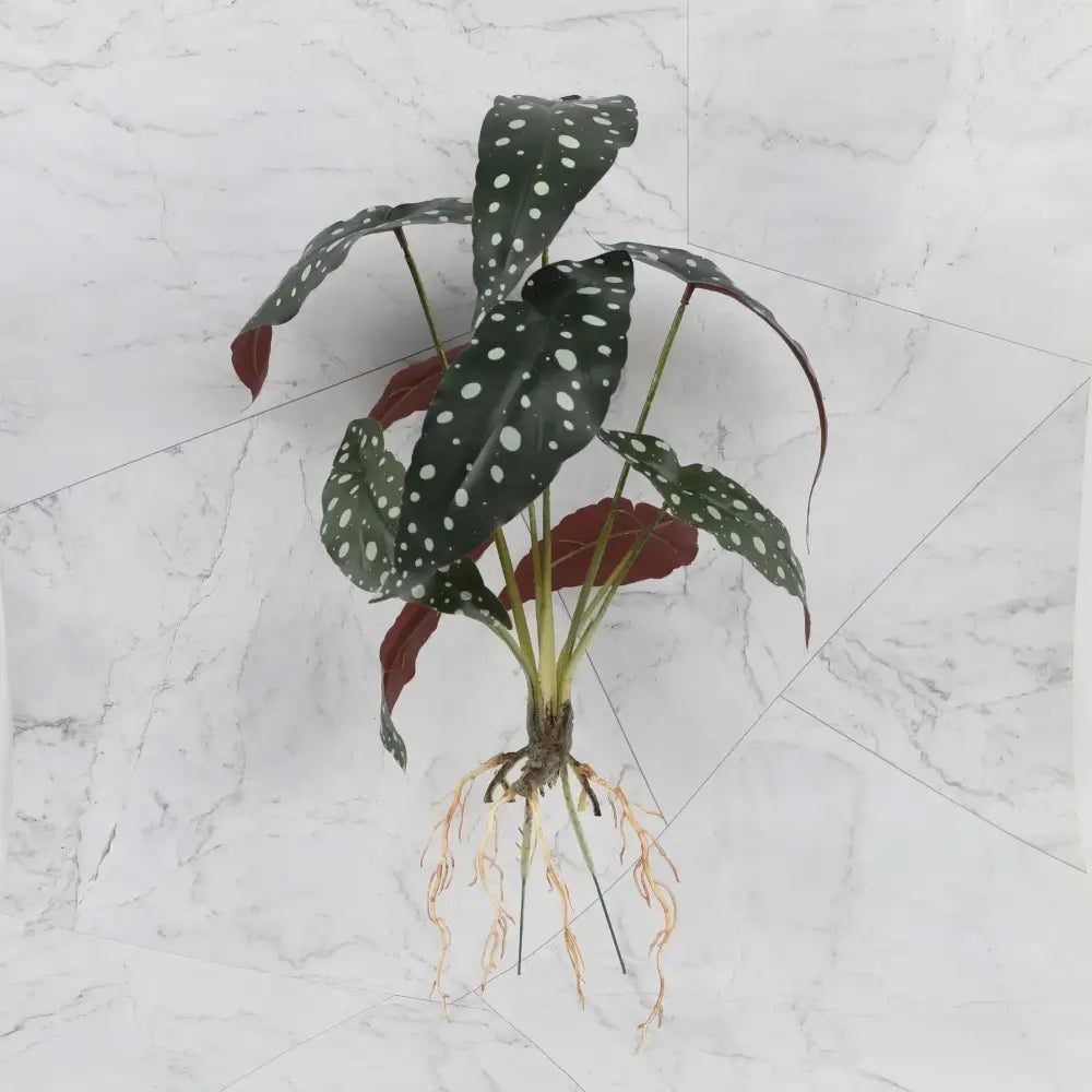 Tropical artificial plant wall set with dark green white-speckled leaves and realistic root system for living room decor