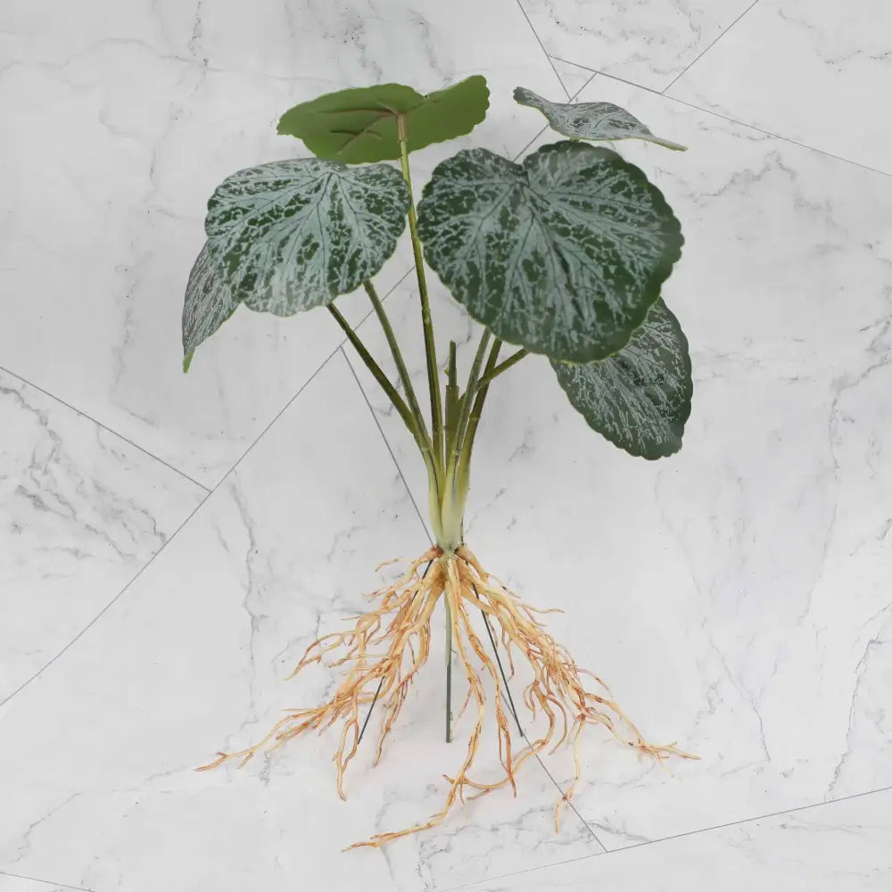 Tropical artificial plant wall set with broad green leaves white veining and tan root cluster for living room decor