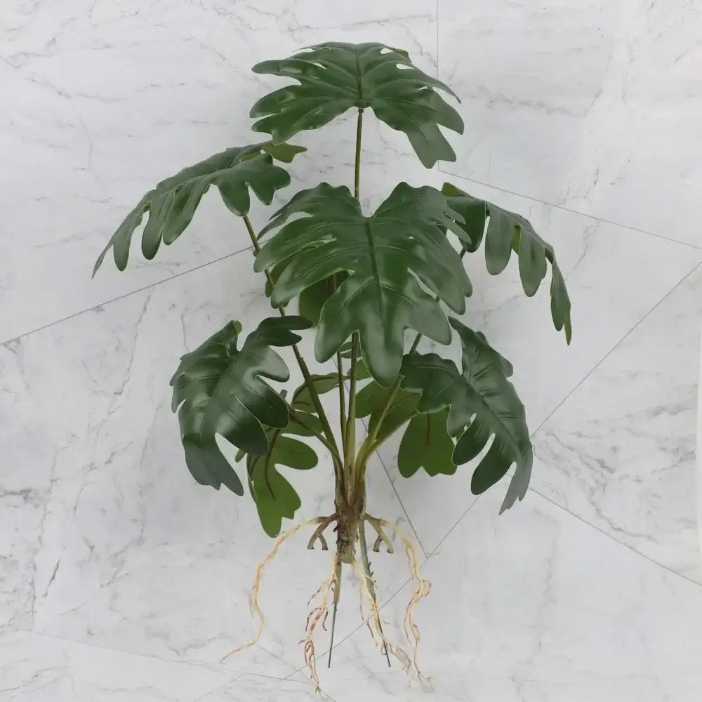 Artificial green monstera plant with glossy deeply lobed leaves and visible roots in tropical plant wall set for living room decor