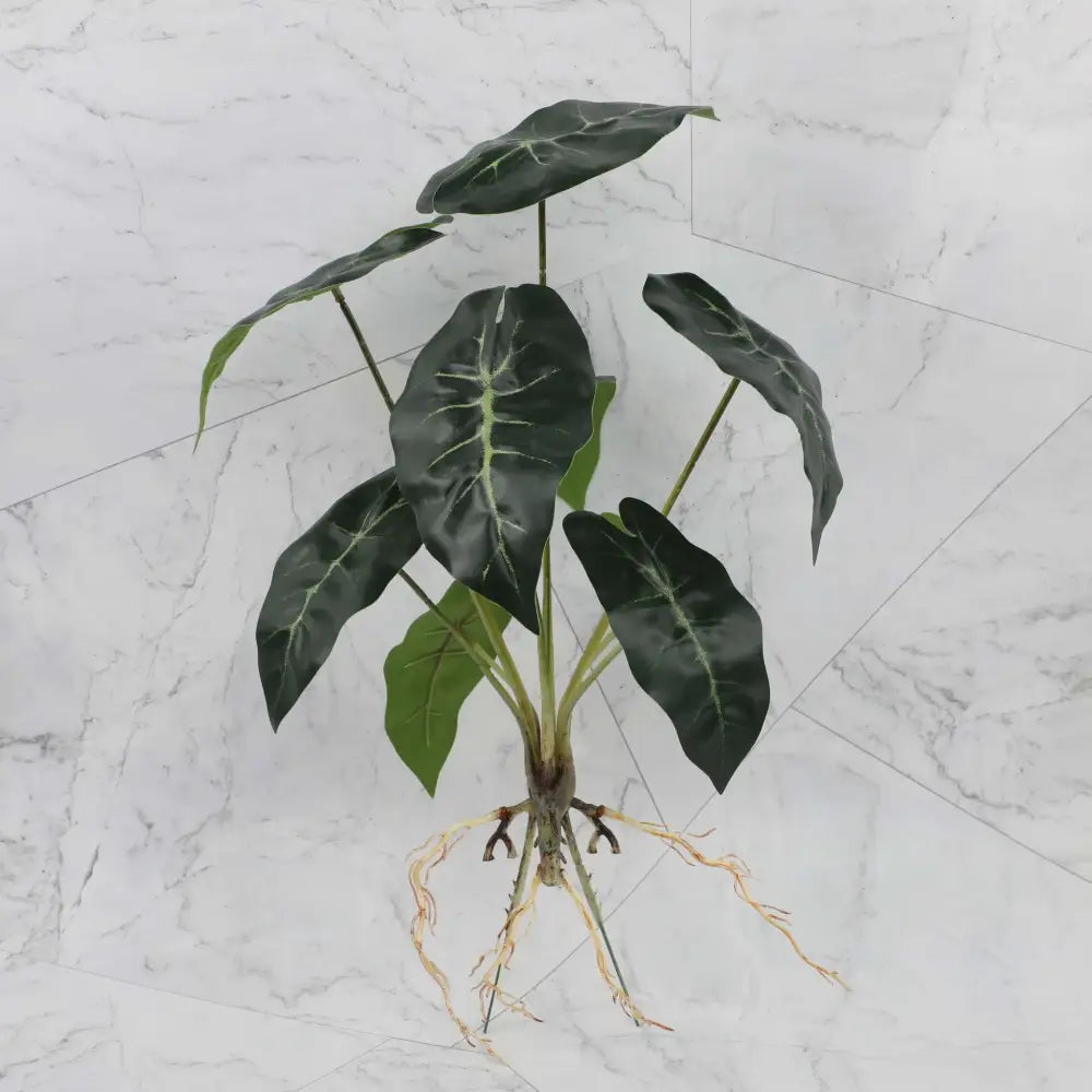 Artificial alocasia plant with glossy dark green leaves and realistic roots in tropical plant wall set for living room decor