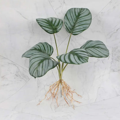 Artificial tropical plant wall set with broad silver green striped leaves and tan roots for living room decor