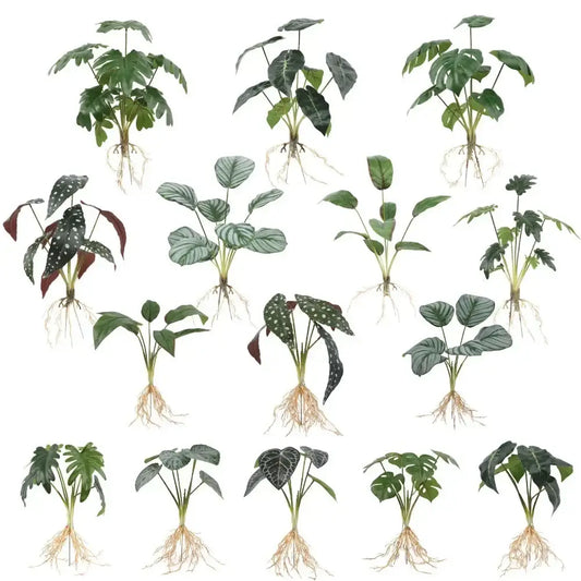 Tropical artificial plant wall set featuring glossy green leaves and visible roots for decorative use