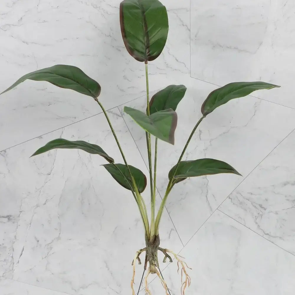 Artificial green leafy plant with glossy broad leaves and visible roots in tropical plant wall set for living room decor