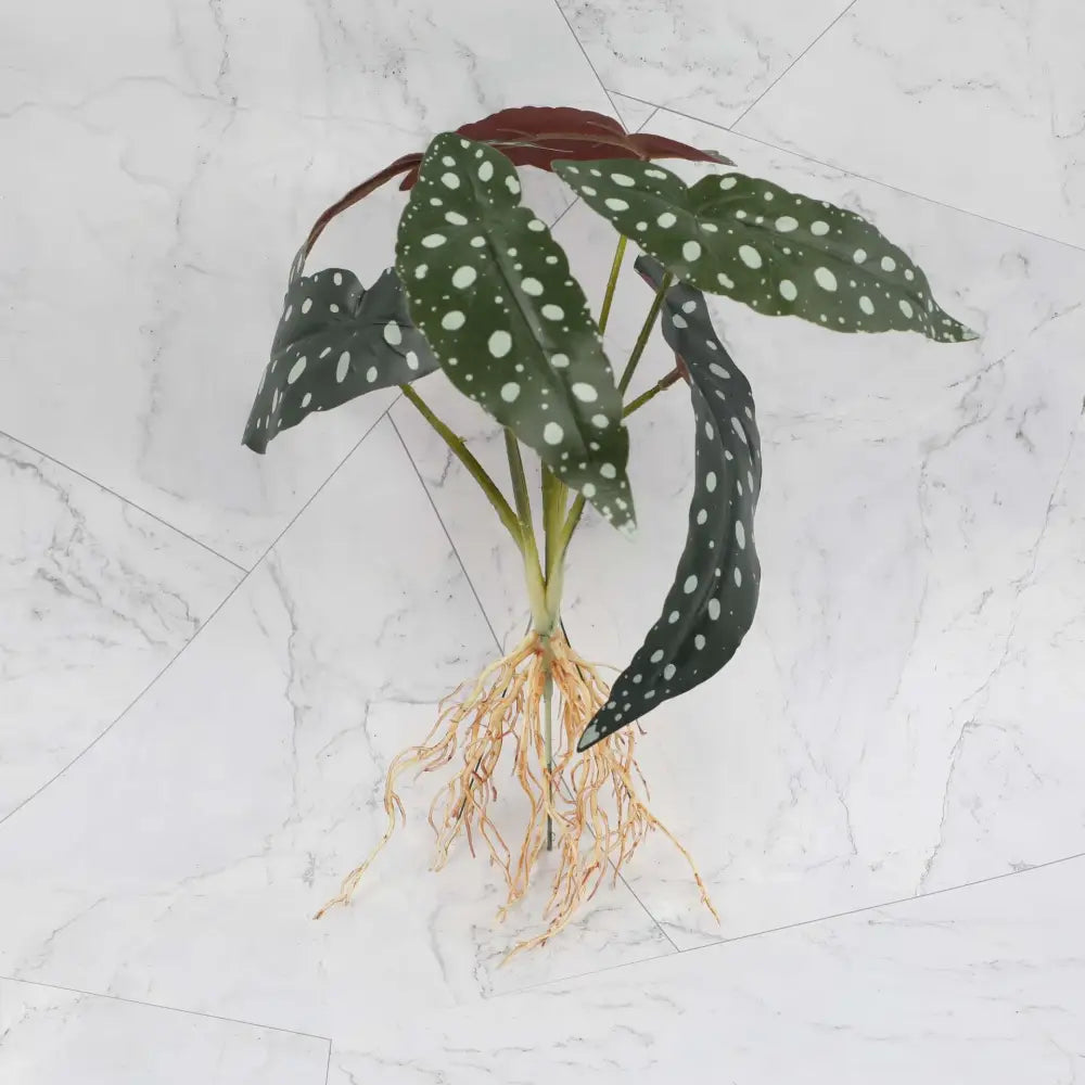 Tropical artificial plant wall set with green white spotted leaves brownish red stems and visible roots for living room decor
