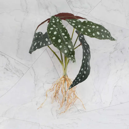 Tropical artificial plant wall set with green white spotted leaves brownish red stems and visible roots for living room decor