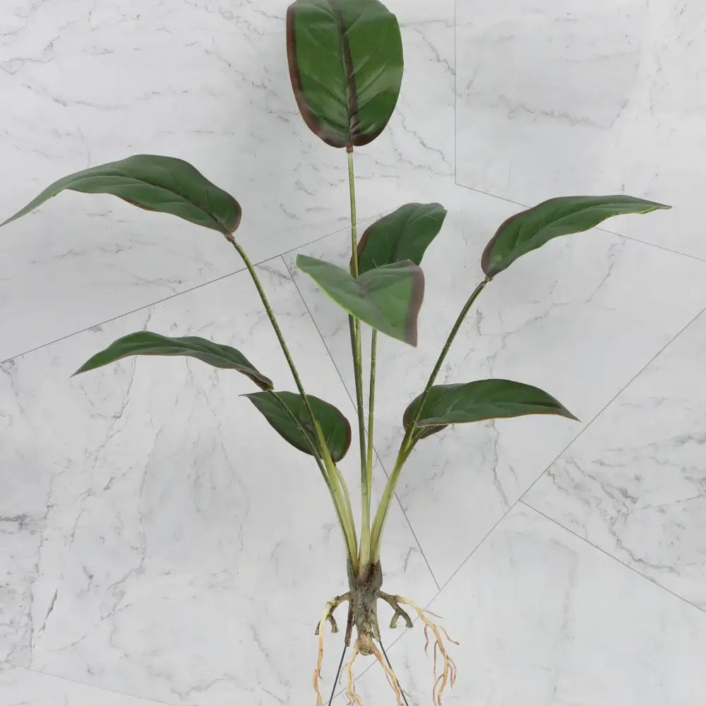 Artificial green plant with broad glossy leaves and roots in tropical plant wall set for living room decor