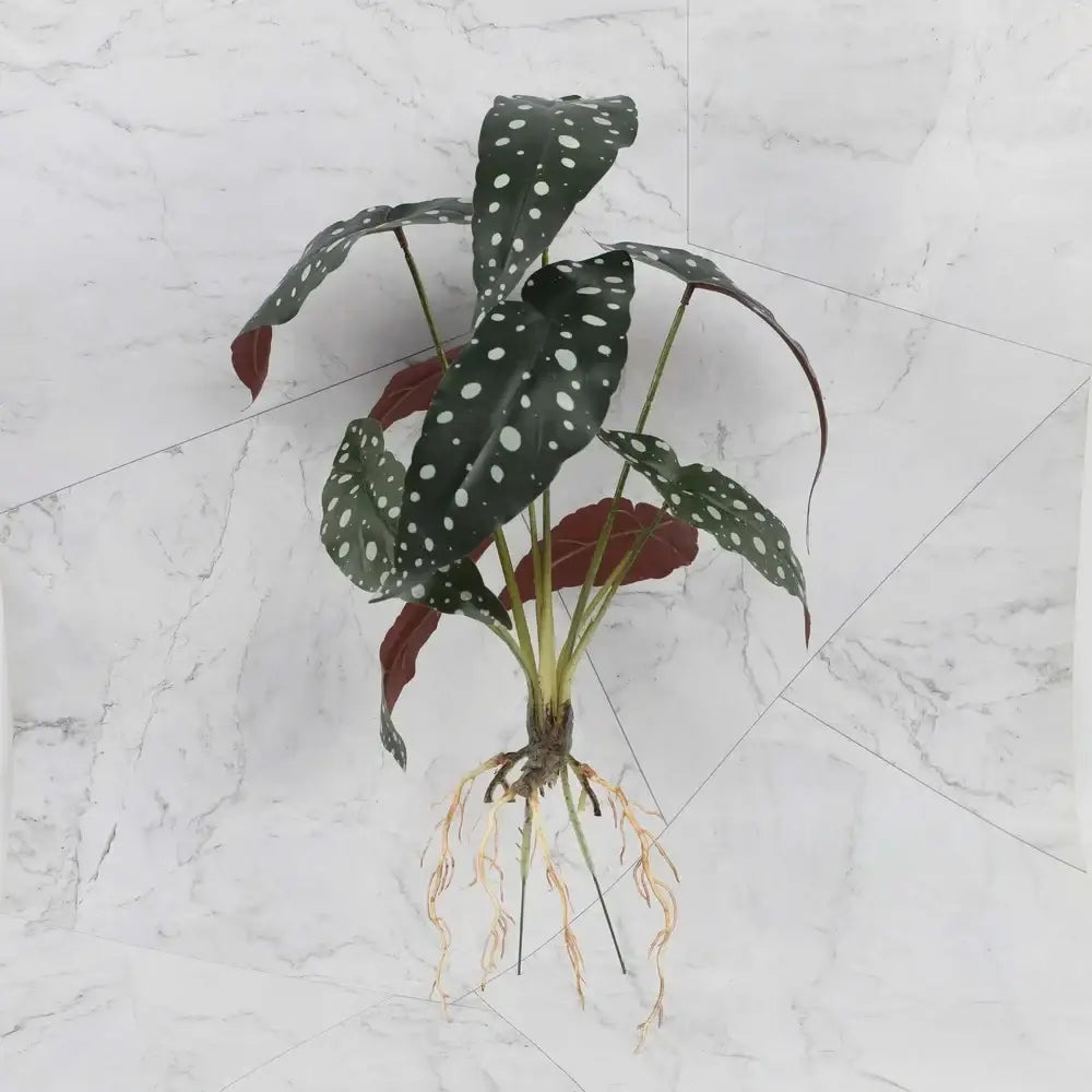Tropical artificial plant wall set with dark green and white speckled leaves and visible roots for living room decor