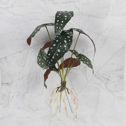 Tropical artificial plant wall set with dark green and white speckled leaves and visible roots for living room decor