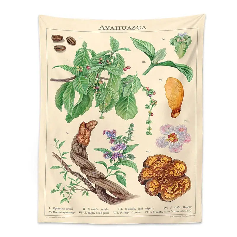 Beige botanical tapestry featuring detailed ayahuasca illustration with green leaves purple flowers and brown pods wall hanging decorbites