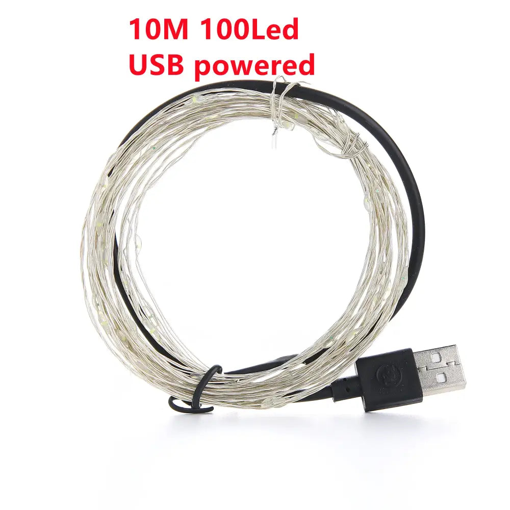 A coiled 10-meter warm gold copper wire fairy lights with black cable for outdoor garden decor by decorbites copper wire
