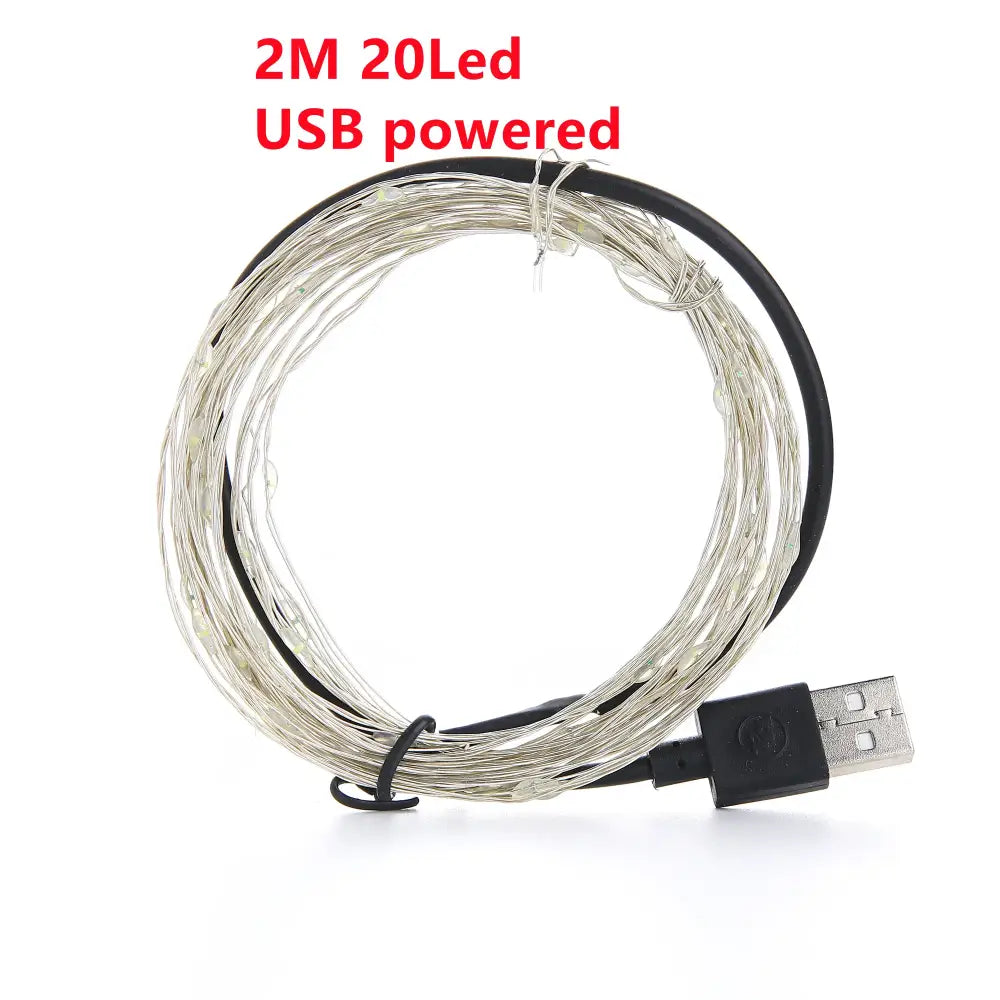 A coiled 2 meter usb powered warm gold copper wire fairy lights with black cable for outdoor decorbites copper wire decor