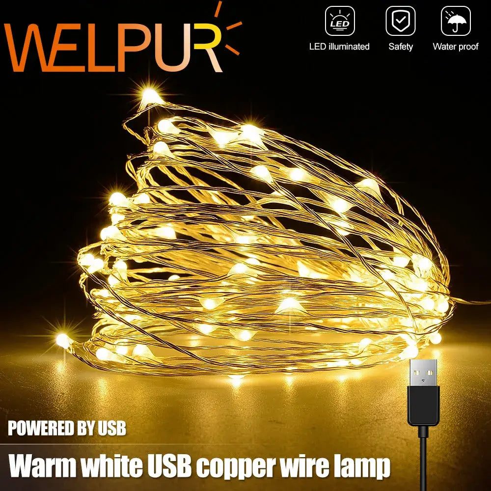 Coiled copper wire warm white led string lights with black usb connector available in 20 50 or 100 leds for bedroom decoration