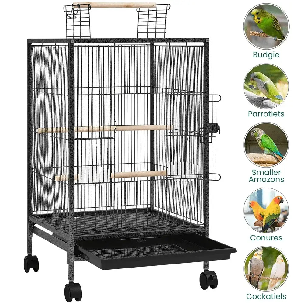 Black metal bird cage with wooden perches and tray for small-sized birds like budgies and conures by DecorBites