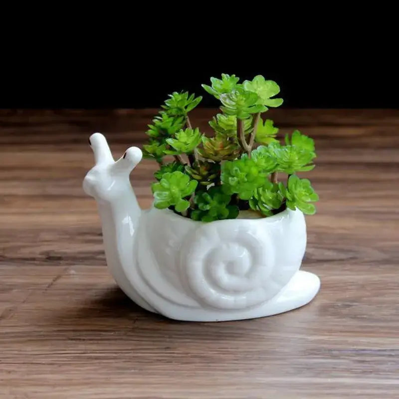 White ceramic decorbites cartoon snail flower vase holding green succulents as a stylish garden succulent pot